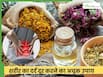 ये 5 जड़ी बूटियां दूर करती हैं शरीर का दर्द, आज से शुरू करें सेवन