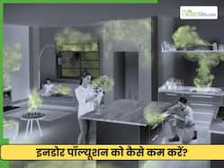 घर की हवा को साफ कैसे बनाएं? ये 3 तरीके दूर रखेगें बाहर का पॉल्यूशन