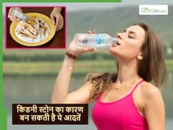 ज्यादा नमक खाने जैसी ये छोटी-छोटी आदतें बन रही किडनी में पथरी का कारण, जानें कौन सी हैं वे गलतियां