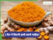 1 दिन में कितनी हल्दी खानी चाहिए? आयुर्वेदिक डॉक्टर बता रहे हैं ज्यादा हल्दी खाने के नुकसान