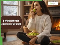 7 दिन का आंवला चैलेंज: शरीर के अंदर मचेगी खलबली! जानें पहले दिन से लेकर 7वें दिन तक क्या-क्या बदलाव आएंगे