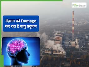 वायु प्रदूषण के कारण कमजोर हो रही है याद्दश्त कमजोर? रिसर्च ने बताया क्या है इनके बीच कनेक्शन वायु प्रदूषण के कारण कमजोर हो रही है याद्दश्त कमजोर? रिसर्च ने बताया क्या है इनके बीच कनेक्शन