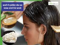 ड्राई और रूखे बाल? एलोवेरा में मिलाएं ये 3 चीजें, पहली बार में दिखेगा फर्क