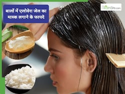 ड्राई और रूखे बाल? एलोवेरा में मिलाएं ये 3 चीजें, पहली बार में दिखेगा फर्क