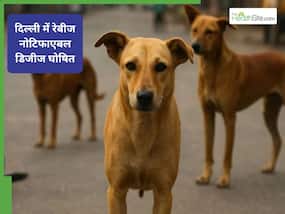 दिल्ली सरकार रेबीज को घोषित करेगी महामारी, जानें कब ये बीमारी बन जाती है जानलेवा दिल्ली सरकार रेबीज को घोषित करेगी महामारी, जानें कब ये बीमारी बन जाती है जानलेवा