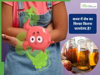 क्या सच में पेट की परेशानियों को दूर करता है सेब का सिरका? एक्सपर्ट ने जो कहा, जानकर चौंक जाएंगे
