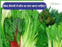 किडनी से लेकर डायबिटीज तक: हर बीमारी का अलग है 'साग', खा लेंगे तो कभी नहीं होंगे बीमार