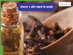 पेट की चर्बी से लेकर दांतों के दर्द तक, सुबह 1 लौंग चबाना है हर मर्ज की दवा!