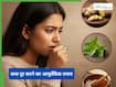 मुलेठी और शहद से दूर होगा कफ: आयुष मंत्रालय ने बताए कफ को जड़ से मिटाने के तरीके