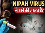 निपाह वायरस कितना खतरनाक है? जानें लक्षण और बचाव का तरीका!