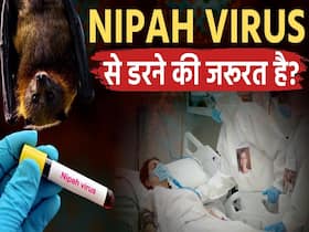 निपाह वायरस कितना खतरनाक है? जानें लक्षण और बचाव का तरीका!