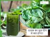 पालक के पत्तों का जूस पीने से दूर होंगी ये कई बीमारियां, सर्दियों में पिएं रोजाना एक गिलास