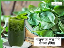 पालक के पत्तों का जूस पीने से दूर होंगी ये कई बीमारियां, सर्दियों में पिएं रोजाना एक गिलास