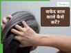 जड़ से काला होगा एक-एक सफेद बाल, 1 घरेलू नुस्खा दिखाएगा अपना कमाल