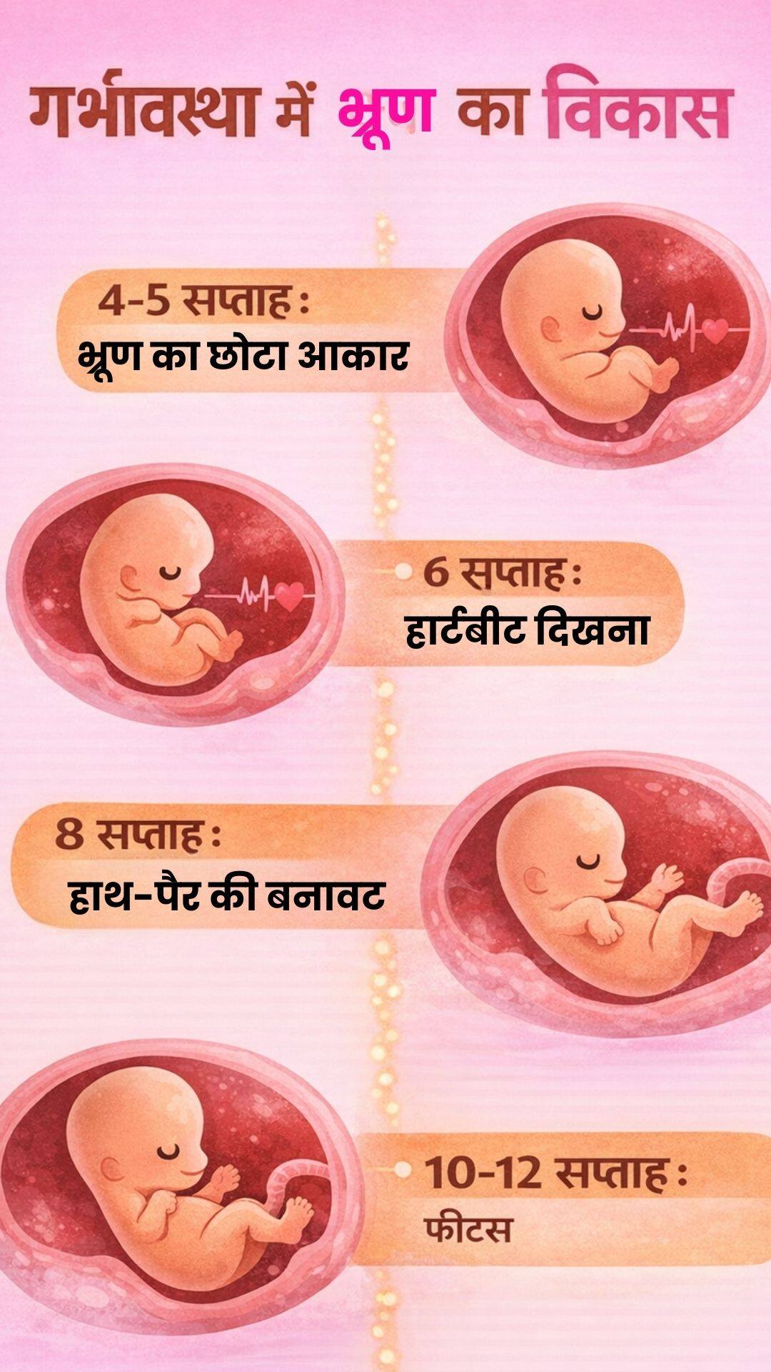pregnancy first stage