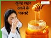 सुबह खाली पेट एक चम्मच खाएं शहद, सेहत को मिलेंगे ये 4 जबरदस्त फायदे