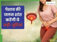 ये 5 जड़ी-बूटियां पेशाब की जलन को करती हैं दूर, इस तरह से करें सेवन