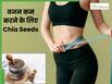वजन कम करने के लिए चिया सीड्स कितने और कैसे खाएं? जानें सही तरीका