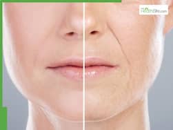 Anti-Ageing Skincare Tips: 6 Collagen-Boosting Drinks For A Youthful Skin