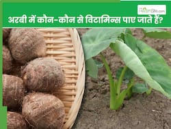 अरबी में कौन-कौन से विटामिन पाए जाते हैं?