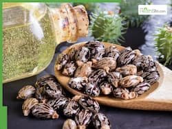 5 Best Oils To Mix With Castor Oil For Faster Hair Growth Based On Your Hair Type