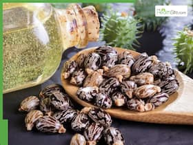 5 Best Oils To Mix With Castor Oil For Faster Hair Growth Based On Your Hair Type 5 Best Oils To Mix With Castor Oil For Faster Hair Growth Based On Your Hair Type