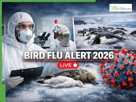 Bird Flu Alert 2026 LIVE Updates: Deadly New H5N1 Virus Strain Capable Of Killing 100% Infected Fauna In Antarctica Detected | Key Highlights Bird Flu Alert 2026 LIVE Updates: Deadly New H5N1 Virus Strain Capable Of Killing 100% Infected Fauna In Antarctica Detected | Key Highlights