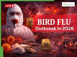 Bird Flu Outbreak 2026 LIVE Updates: H5N1 Virus Ravages Antarctic Wildlife, Scientists Warn of Escalating Pandemic Threat