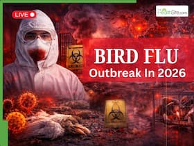 Bird Flu Outbreak 2026 LIVE Updates: H5N1 Virus Ravages Antarctic Wildlife, Scientists Warn of Escalating Pandemic Threat Bird Flu Outbreak 2026 LIVE Updates: H5N1 Virus Ravages Antarctic Wildlife, Scientists Warn of Escalating Pandemic Threat