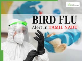 Bird Flu Outbreak In Tamil Nadu: High Alert Activated After After Crow Deaths; Watch for Fever, Cough, and Breathing Trouble Bird Flu Outbreak In Tamil Nadu: High Alert Activated After After Crow Deaths; Watch for Fever, Cough, and Breathing Trouble
