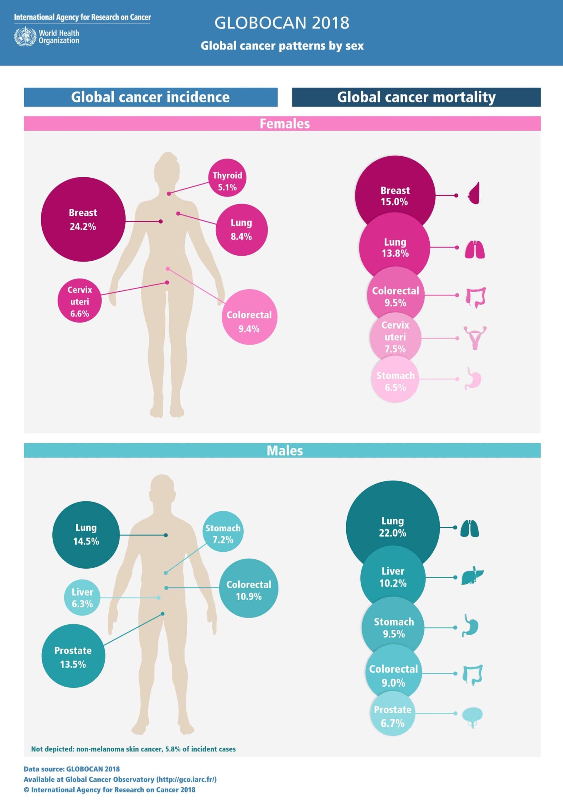 Breast and Lung Cancer