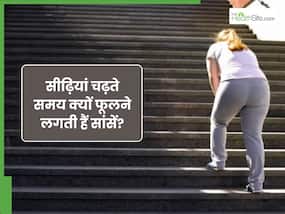 सीढ़ियां चढ़ते समय सांस क्यों फूलने लगती है? डॉक्टर से समझिए क्या है इसके पीछे के कारण सीढ़ियां चढ़ते समय सांस क्यों फूलने लगती है? डॉक्टर से समझिए क्या है इसके पीछे के कारण