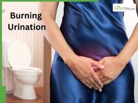 Burning Urination? Ayurvedic Doctor Shares 5 Powerful Herbs For Instant Relief From UTI And Urinary Infections