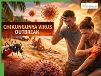 Deadly Chikungunya Virus Outbreak Ravages Seychelles: CDC Warns Travelers of Crippling Joint Pain, Extremely High Fever | Key Points