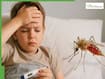 Dengue In Children: Early Symptoms That Look Like Viral Fever But Can Turn Dangerous Fast
