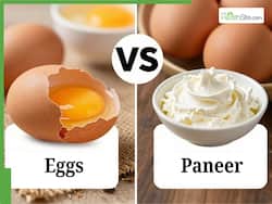 Eggs Vs Paneer: Which Is Higher in Protein for Muscle and Health?