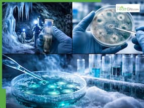 Frozen for 5,000 Years, Romanian Ice Bacteria Shows Promise Against Superbugs - But Could Emerge As A New Threat Frozen for 5,000 Years, Romanian Ice Bacteria Shows Promise Against Superbugs - But Could Emerge As A New Threat
