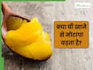 क्या घी खाने से मोटापा बढ़ता है? जानिए Ghee से खाना पकाने के आसान से टिप्स