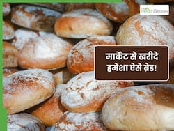 क्या ब्रेड खाने से फूल जाता है पेट? पाचन को आसान बनाने के लिए चुनें इस तरह की ब्रेड