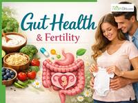 Gut Health And Fertility: How Your Microbiome Affects Hormones, Ovulation And Sperm Quality