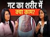 गट की सेहत खराब होने पर दिखते हैं ये संकेत, कैसे सुधारें पाचन तंत्र?