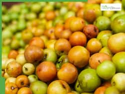 Indian Jujube Benefits: 5 Reasons This Superfruit Supports Sleep And Immunity