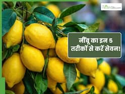 दोगुने फायदे के लिए नींबू का इन 5 तरीकों से करें सेवन, पाचन से लेकर मेटाबॉलिज्म होगा बूस्ट
