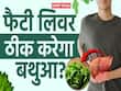 फैटी लिवर को ठीक करने में कैसे मदद करेगा बथुआ? देखें ये वीडियो