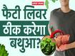 फैटी लिवर को ठीक करने में कैसे मदद करेगा बथुआ? देखें ये वीडियो