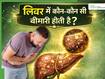 लिवर में कौन-कौन सी बीमारी होती है? डॉक्टर से जानिए कैसे करें Liver खराब होने की पहचान