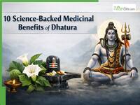 Maha Shivratri 2026: 10 Science-Backed Medicinal Benefits of Dhatura - The Sacred Plant Offered to Lord Shiva