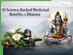 Maha Shivratri 2026: 10 Science-Backed Medicinal Benefits of Dhatura - The Sacred Plant Offered to Lord Shiva