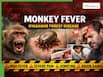 Deadly Monkey Fever Strikes Karnataka: Multiple Deaths Reported, Severe Body Pain, Vomiting, Brain Damage Risk