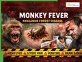 Deadly Monkey Fever Strikes Karnataka: Multiple Deaths Reported, Severe Body Pain, Vomiting, Brain Damage Risk